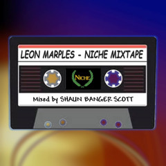 SBS Niche 30 Mixtape Vol 2 Leon Marples
