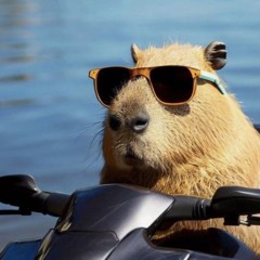 Chillin