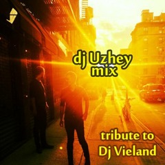 Tribute To Dj Vieland Mix
