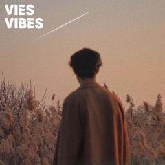 VIES VIBES - Endless | OUT NOW