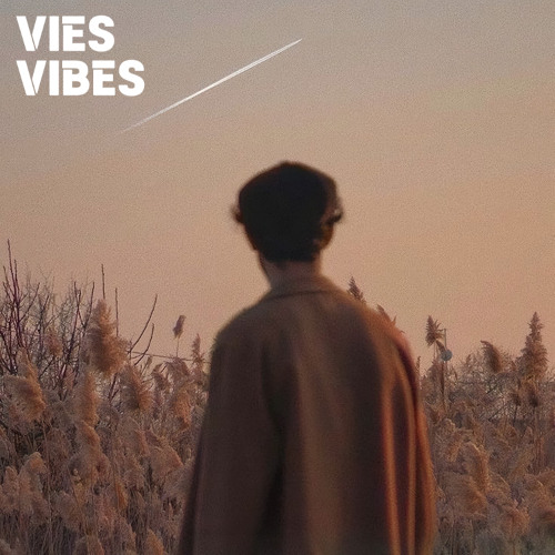 VIES VIBES - Endless | OUT NOW