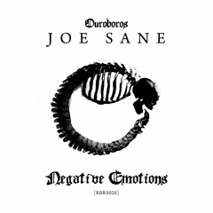 JOE SANE - Negative Emotions [RBRS020]