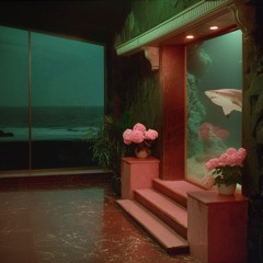 LoVeNoV - Sinking Of You