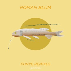 Roman Blum - Brace Yourself (Dan Bay Remix)Snippet