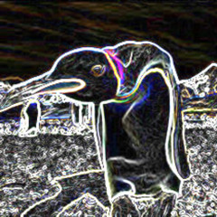 Penguin shit Trip