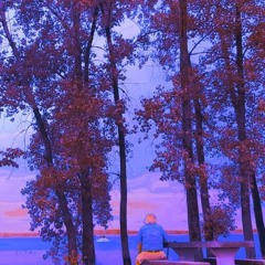 Lookout - LoFi Ukulele Instrumental