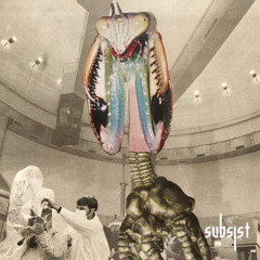 490# PREMIERE: Aureal y Eduardo-Criado - Transcendent [Subsist]