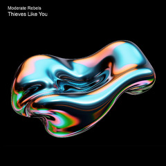 Moderate Rebels 'Thieves Like You'