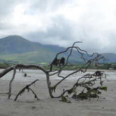 The Blackbird/Jolly Clamdiggers