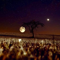 Night on Earth (Rehearsal)