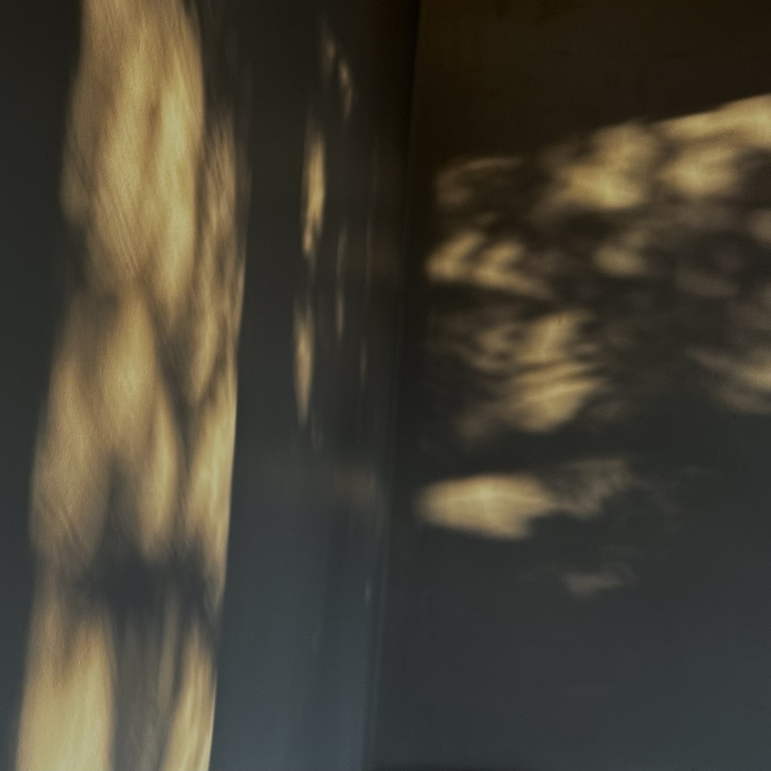 LIMINAL PT 1