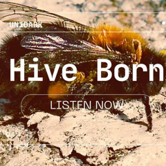 Hive Born