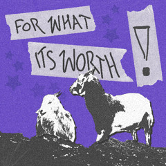 in only two weeks [p. LoopGod]