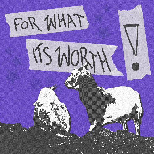 in only two weeks [p. LoopGod]