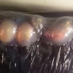 THELIA - 'girl you should know what you're falling for’