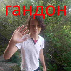 СОШЕЛ С УМА