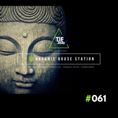 Zen Organic House #061 - Melodies for the Mind | 🛋️ Deep Focus dj mix session 慢摇