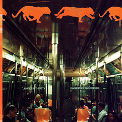 Fall In Love With The Light