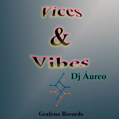 Vices & Vibes. Dj Áureo (Marcelo Mejía) Original Mix.