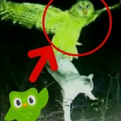 Ohio Memes sounds 💀💀💀