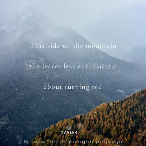halF mountaiN [naviarhaiku382]