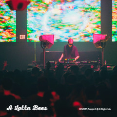 A Lotta Bees for BISCITS @ Q Nightclub, Seattle