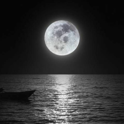 Moon Sweat - DYO