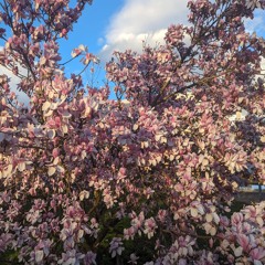 farbindustrie Home DJ Set 16.05.24