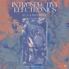 Introspective Electronics x Sonic Garden w/ Luca & Dan Bean | November 23