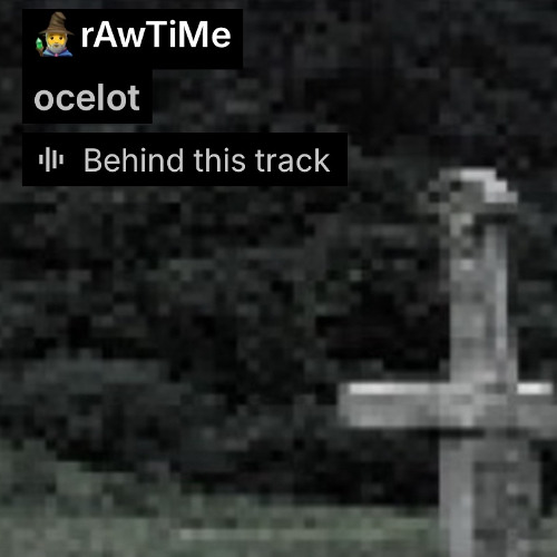 rawtime flip prod me @ocelot @fauxf6r