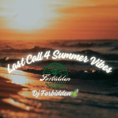 [ Last Call 4 Summer Vibes ]