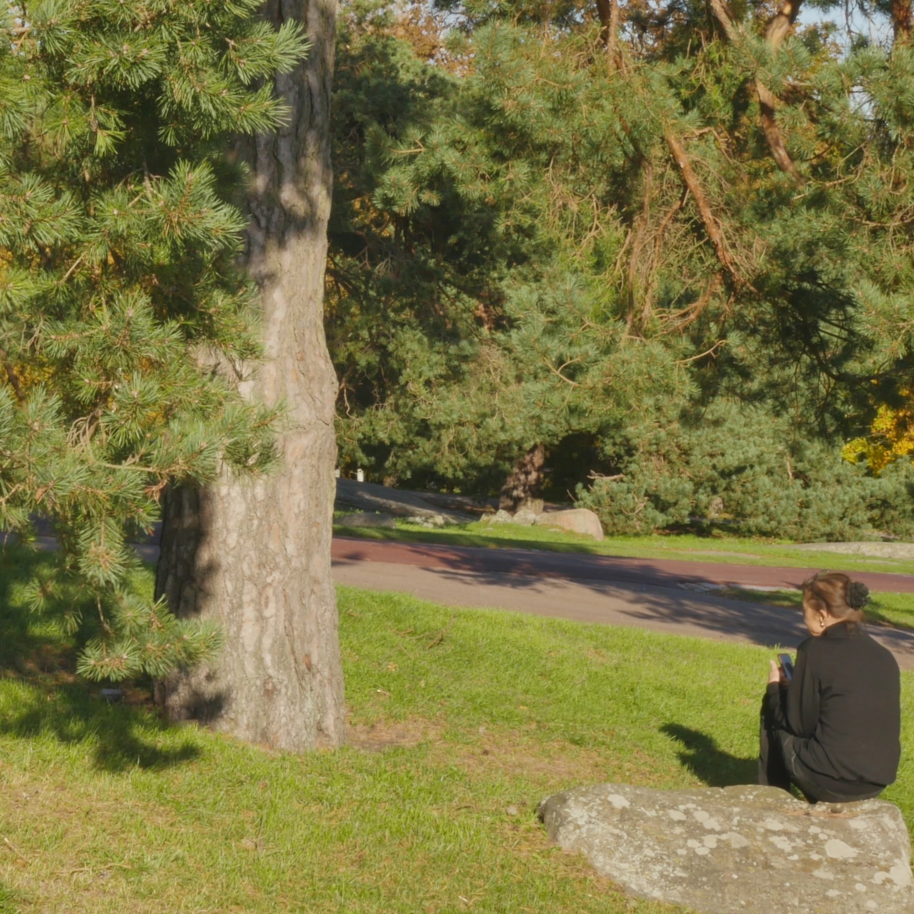 Pondering With A Pine In The Park - 17 episode artwork