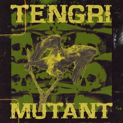 Tengri