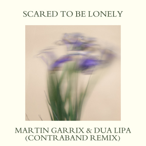 Martin Garrix & Dua Lipa - Scared To Be Lonely (Contraband Remix)