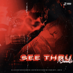 1SheedLo - See Through