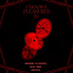 UNKNOWN PLEASURES (Original Mix)