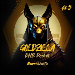 DNB Pocket #5 by GOLDZILLA