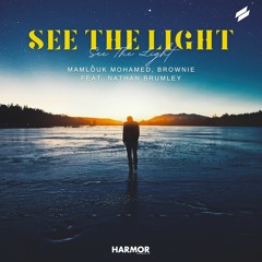 Mamlouk Mohamed, Brownie - See The Light (feat. Nathan Brumley)