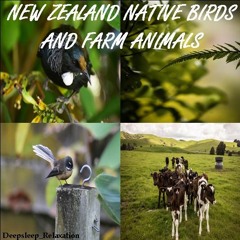 NEW ZEALAND NATIVE BIRDS WITH FARM ANIMALS 4