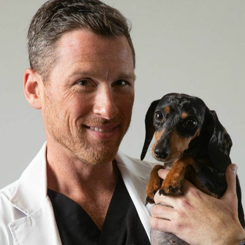 Stream episode VAN 031 Fred Wininger VMD, MS, DACVIM (Neuro) by