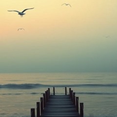 Tie iste frázy znova a znova.