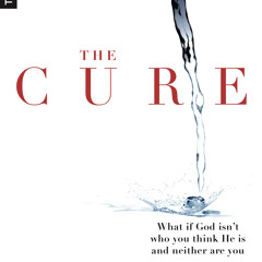 ePub/Ebook The Cure BY : John Lynch, Bruce McNicol & Bill Thrall