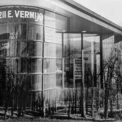 Finding Joy in the Mess