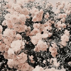 Remember To Be Patient (omori) (Lofi ver by Ryan Chang) - (slowed)