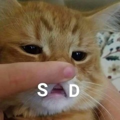 DEALOVA  - ( R.T_ x FAZI x ABILL ) #69