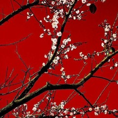 the masqs - vampira (slowed and reverb)