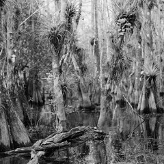 RAVE CAFE ZINE 004 with Sister System