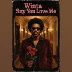 Say You Love Me Extended Dance Mix Djloops (1982)