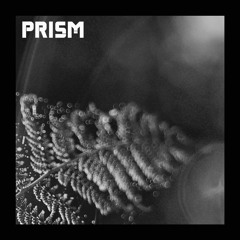 Prism
