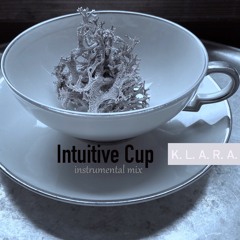 INTUITIVE CUP INSTRUMENTAL MIX